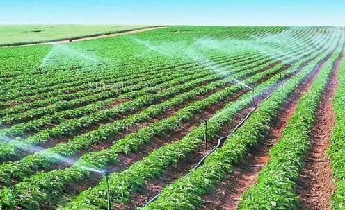欧美小逼逼农田高 效节水灌溉